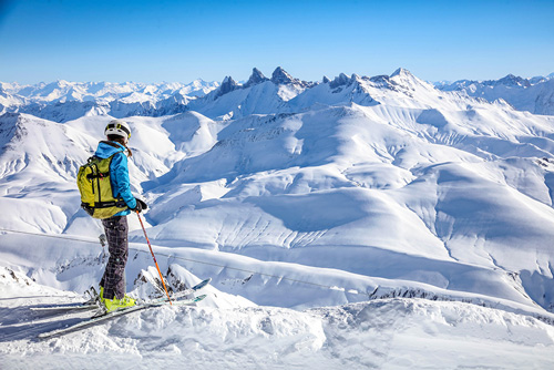 FORFAIT LONG SEJOUR<br>villard-reculas 