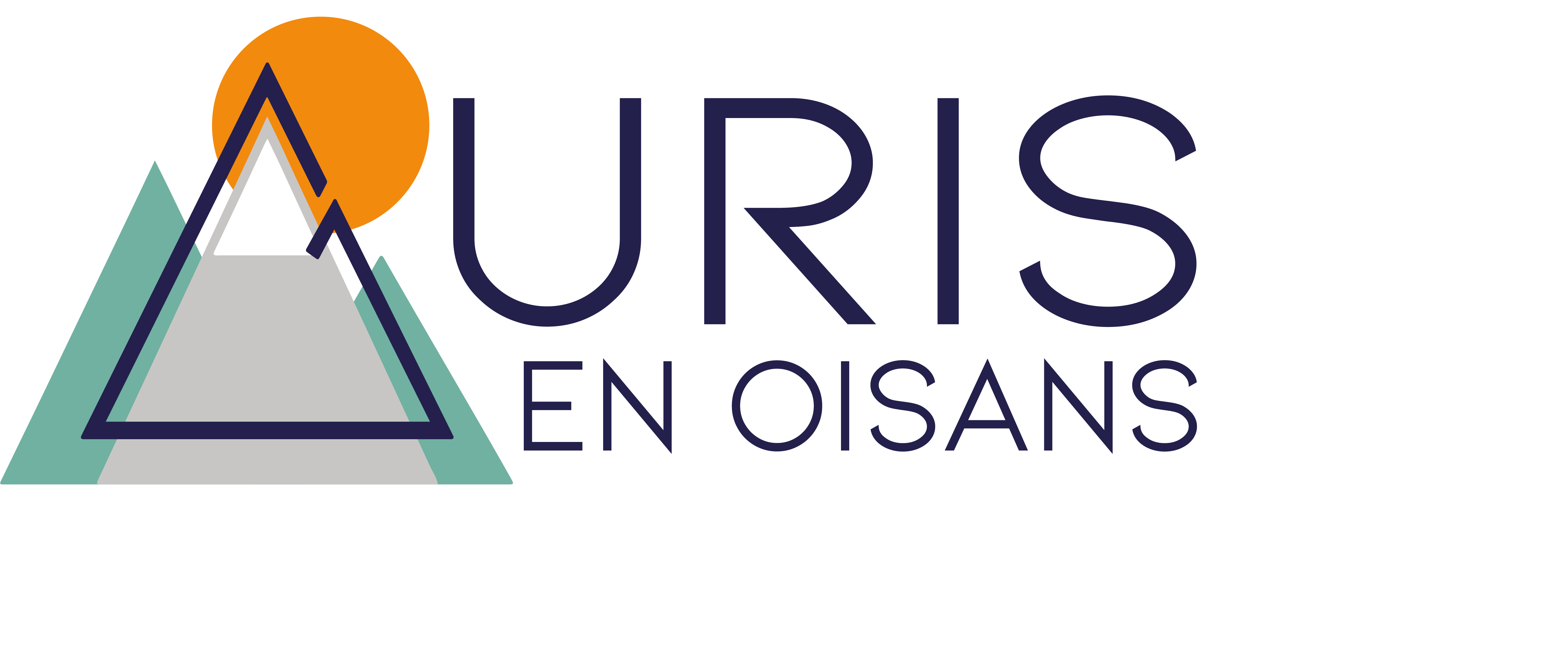 LOGO-AURIS-COULEUR.png